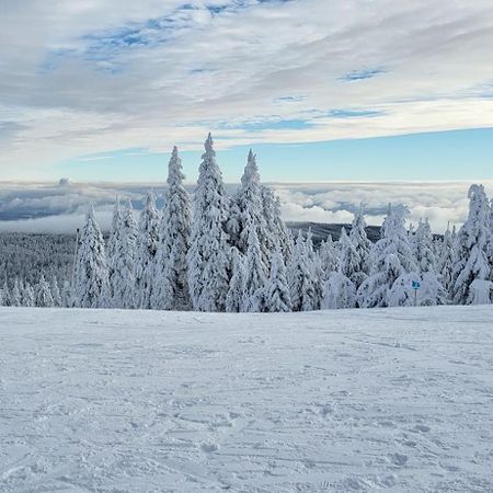 Chata Jeleni Drevenice S Vlastni Virivkou Horni Halze Buitenkant foto