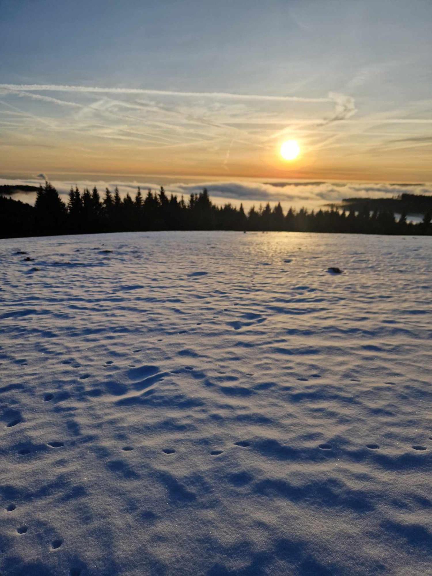 Chata Jeleni Drevenice S Vlastni Virivkou Horni Halze Buitenkant foto