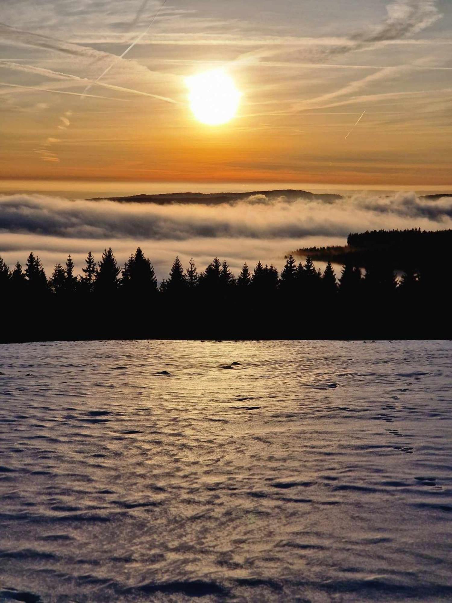 Chata Jeleni Drevenice S Vlastni Virivkou Horni Halze Buitenkant foto