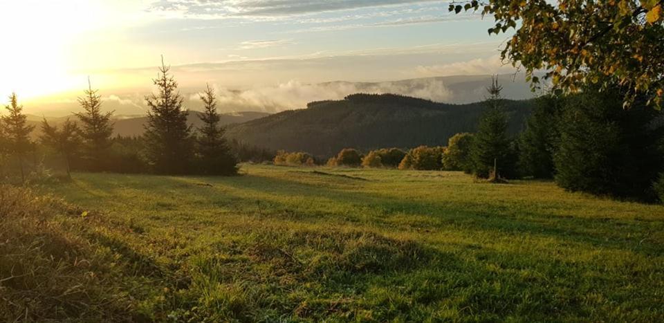 Chata Jeleni Drevenice S Vlastni Virivkou Horni Halze Buitenkant foto