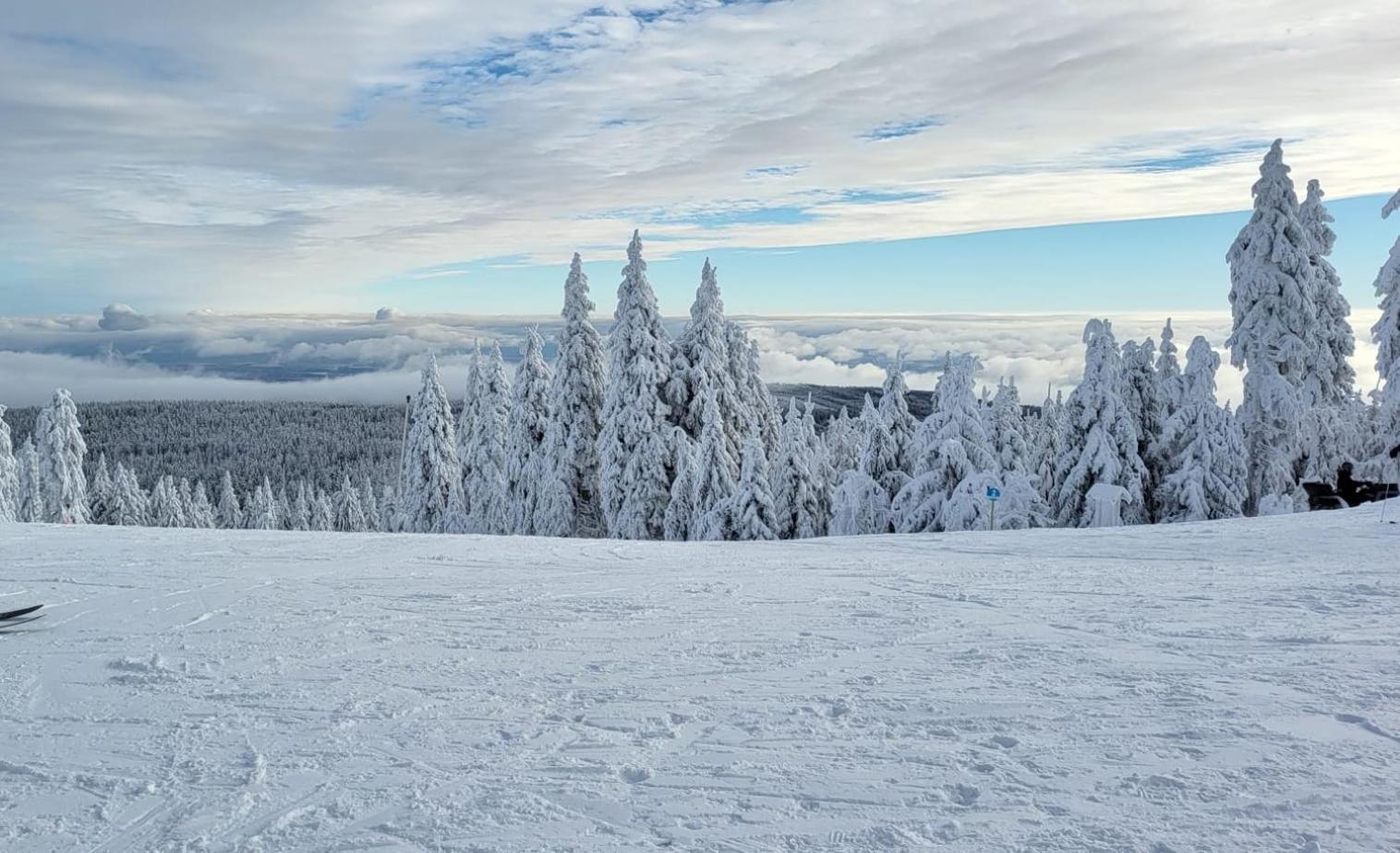 Chata Jeleni Drevenice S Vlastni Virivkou Horni Halze Buitenkant foto