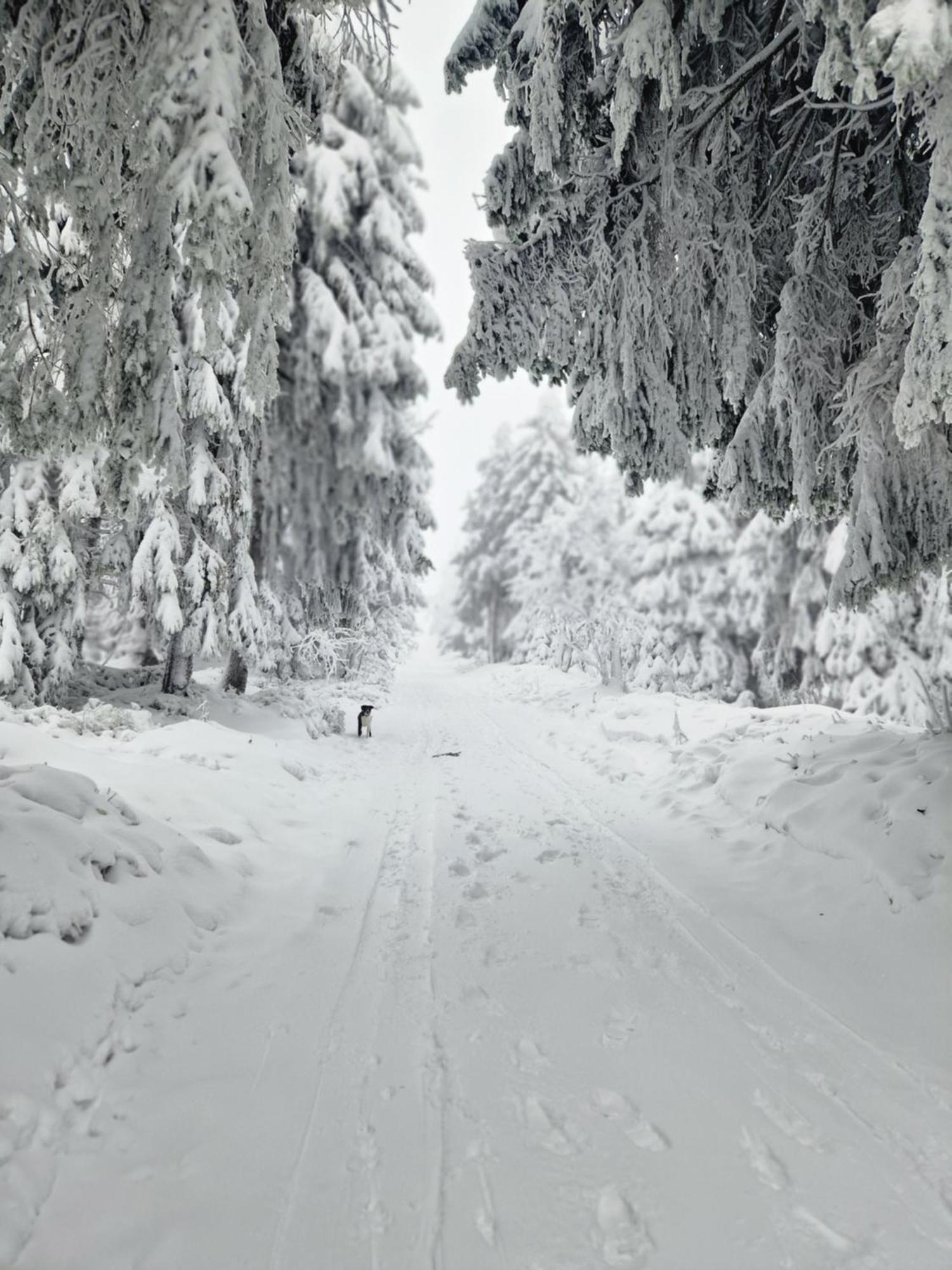 Chata Jeleni Drevenice S Vlastni Virivkou Horni Halze Buitenkant foto