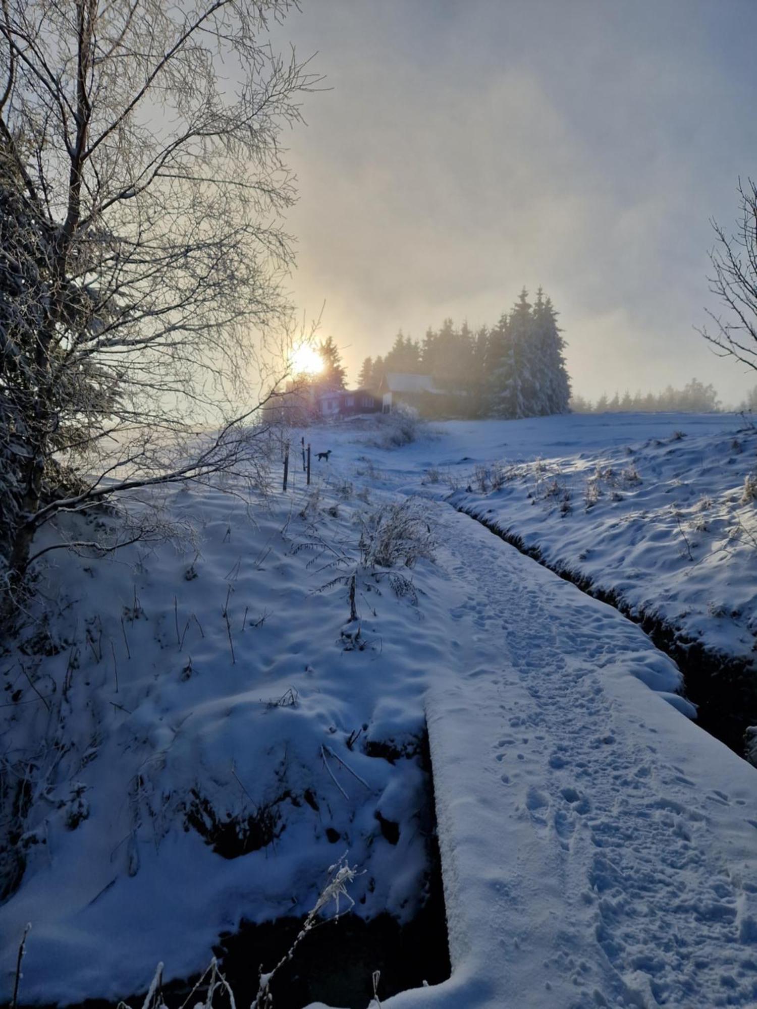 Chata Jeleni Drevenice S Vlastni Virivkou Horni Halze Buitenkant foto